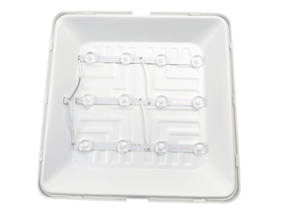 proveedor de luz blanca